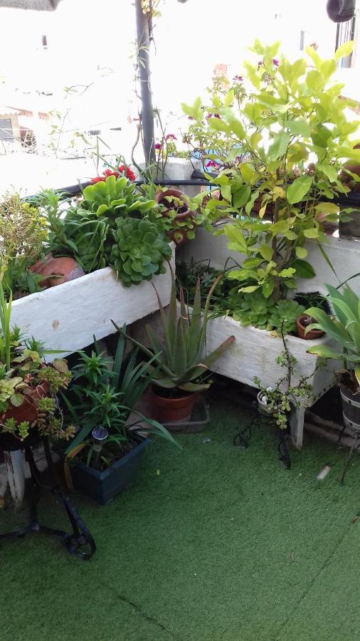 Apartamento Arbol De Vida - Cerca Estadio Cartuja Seville Ngoại thất bức ảnh