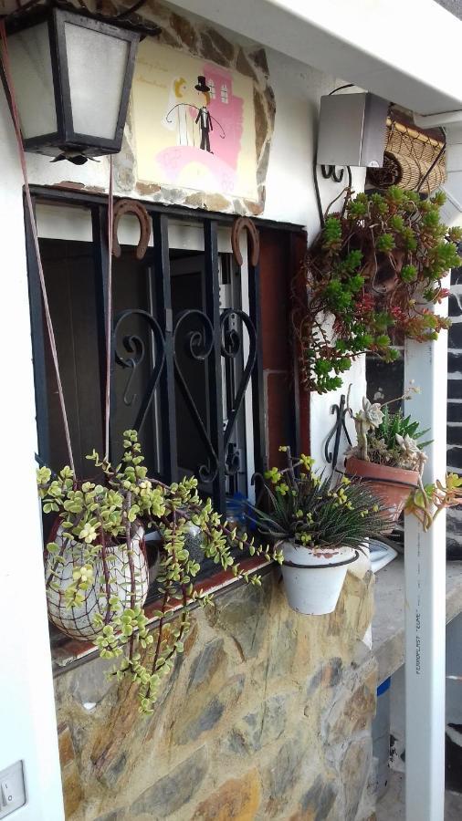 Apartamento Arbol De Vida - Cerca Estadio Cartuja Seville Ngoại thất bức ảnh