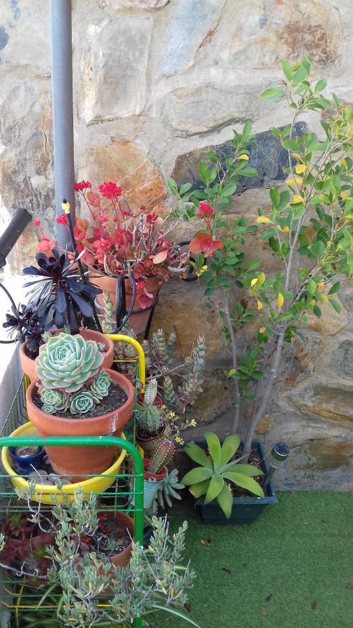 Apartamento Arbol De Vida - Cerca Estadio Cartuja Seville Ngoại thất bức ảnh